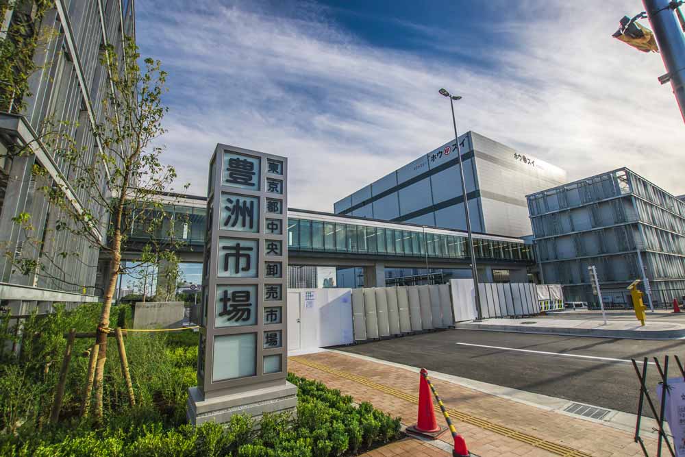 豊洲市場の風景